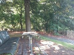 Public pee