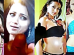 Trisha Krishnan jizz tribute montage Part-1