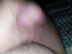 After 10 day Antibiotic regimen, no more pain in my testicle