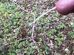 Cum in forest
