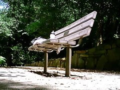 Risky Public JO In The Park Could Be Seen July 2015