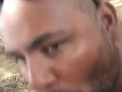 Bear sucking and eating 14