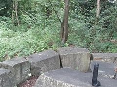 Picnic fuck
