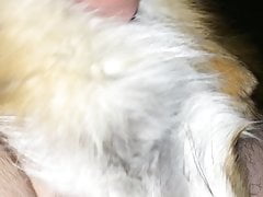Jerking off with Fox Fur