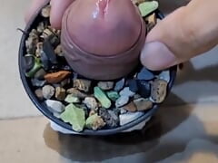 Flower dick with cumshot