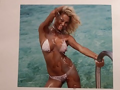 Rose Bertram Tribute 2