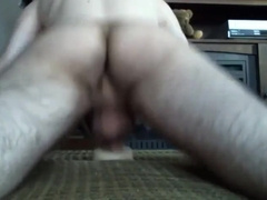 Fleshlight pulverizing nutting