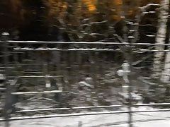 Toter Winter