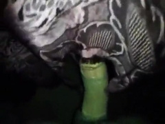 ASU XTUBE FAN nineteen OLD.