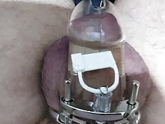 Caged and fed Viagra