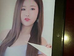 Lovelyz (Babysoul) Cumtribute 1 - Birthday Gift