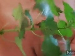 Nettle play