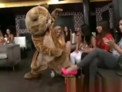 Cfnm bear mascot gets stripped