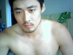 Asian Chinese Korean