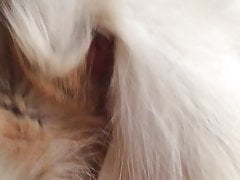 Cum on Fox Fur Coat