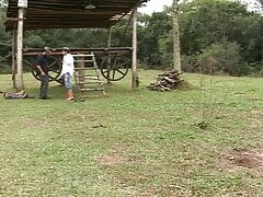 Young cute ranchers have unlimited bareback gay sex