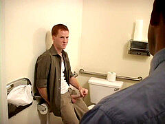 fresh Job - New chief