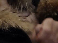 Masturbat fur