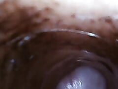 Hot cock flash light inside view.