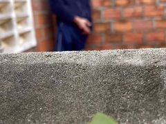 Village boy caught jerking lets stranger watch
