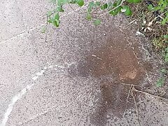 Public Street Piss