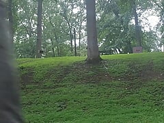Early morning walk in the park.