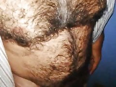 Maduro peludo