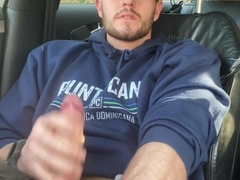 Pulling over to fap my monstrous prick in the van park