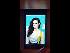 kristen stewart tribute 2