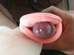 slippers cum 21