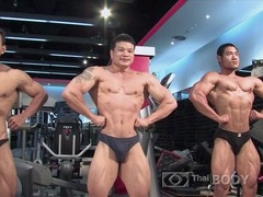 Body builders, bodybuilder