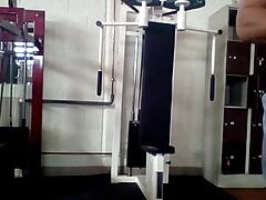Workout in the Gym