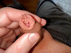 my little cock twitches in my pants (collection)
