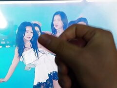Red velvet Irene cum tribute fancam dance kpop idol 8