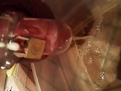 chastity, stockings, pee