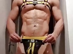 Big Horny Brazilian Cock