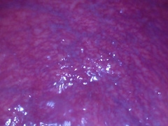 Inner Sight Immense Bad Dragon Flint Splays And Shoots A Load In My Caboose