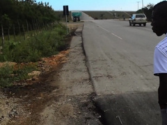 The immense stallion is wixxt in the area