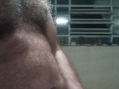 BIG DADDY BIG DADDY BIG BEAR BIG DICK