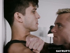 Teddies, army, blowjob