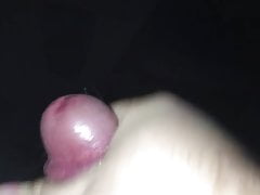 German bear wanks his cut meat