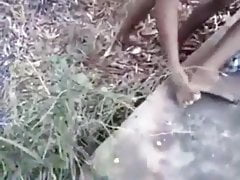 Jungle jingle