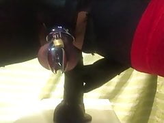 SISSY BITCH CHASTITY COCK FUCKING ASSHLE BIG DILDO