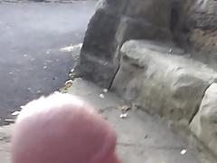 Wanking in public