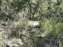 Horny guy sneaks into the woods to jack off