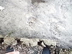 Pee