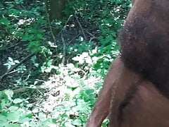 Jerking in the Wood