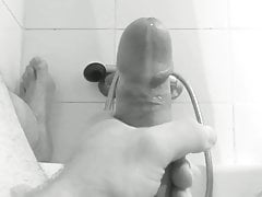 shizzo Cumshot, 2019 - 2