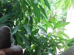 The Most Desired Cock by All Women in Africa