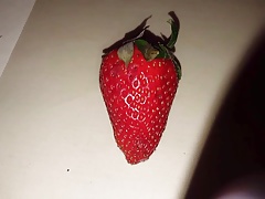 Sperma